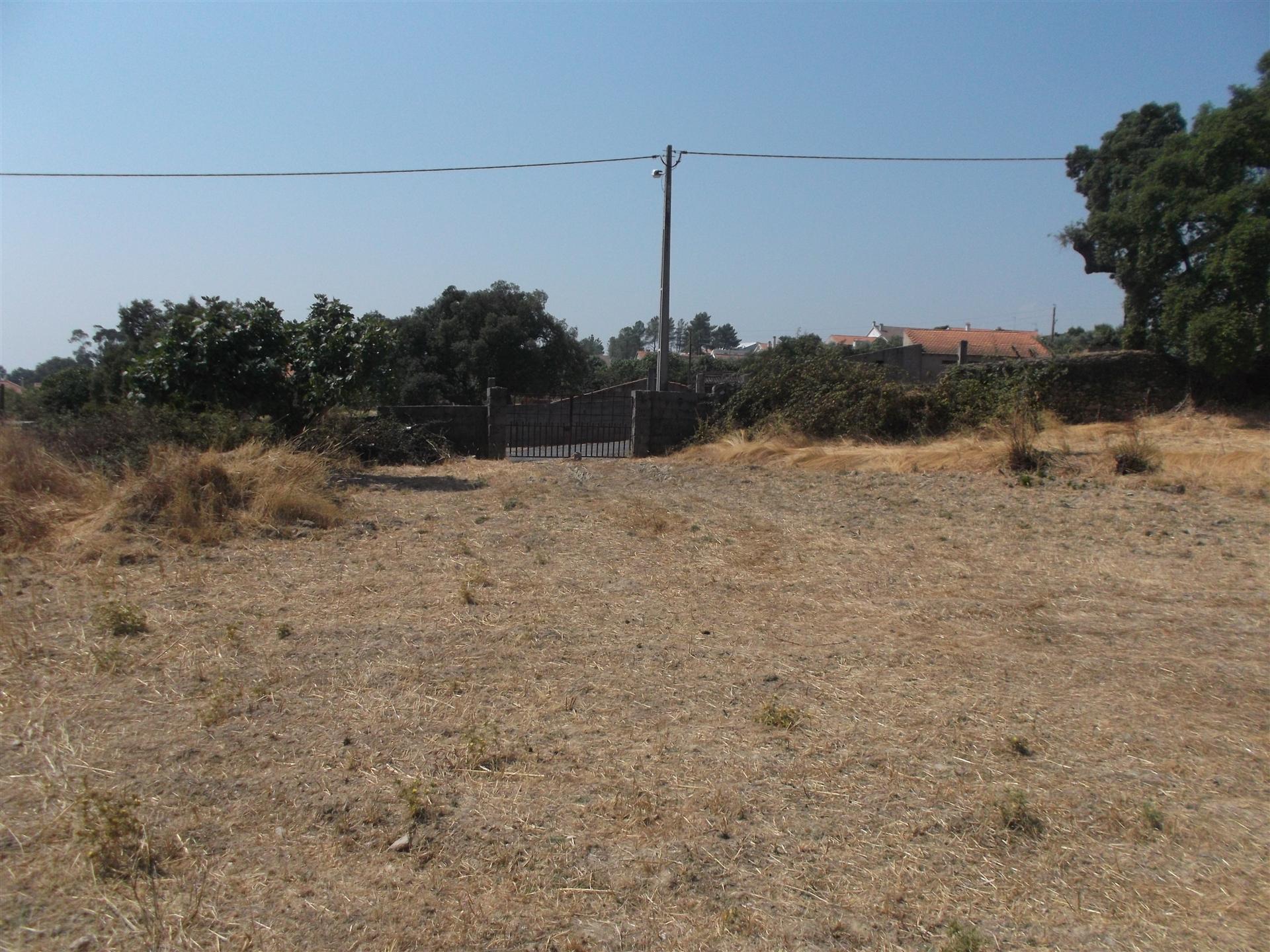 Terreno  Venda em Castelo Branco,Castelo Branco