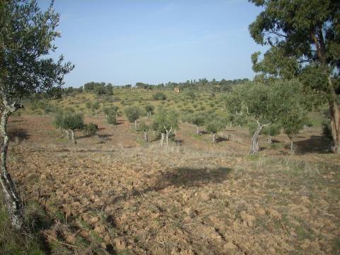 Quintinha  Venda em Escalos de Baixo e Mata,Castelo Branco