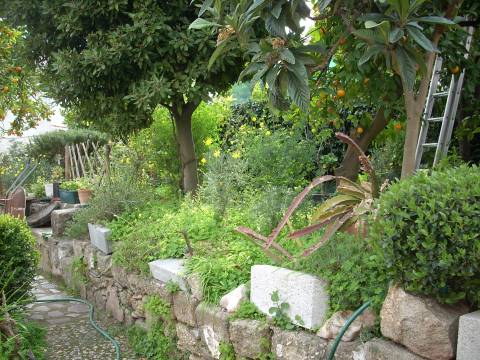 Moradia T6 Venda em Castelo Branco,Castelo Branco