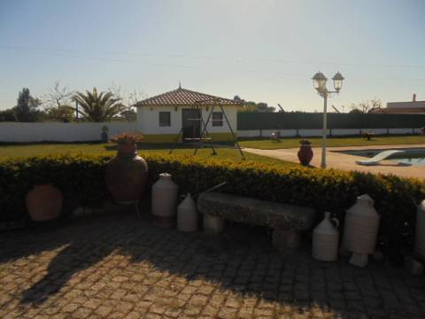 Quinta T5 Venda em Alcains,Castelo Branco