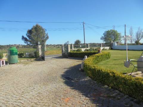 Quinta T5 Venda em Alcains,Castelo Branco
