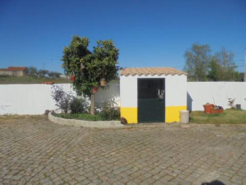 Quinta T5 Venda em Alcains,Castelo Branco