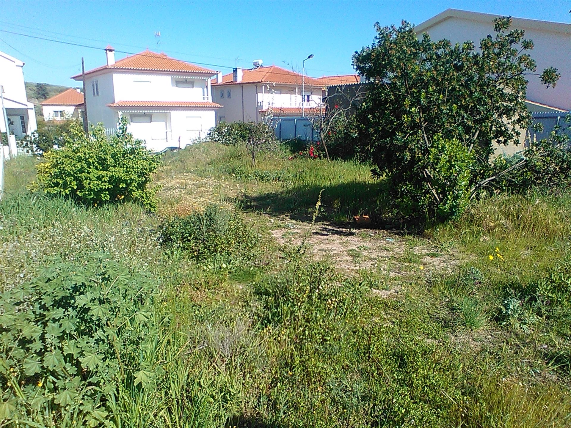 Lote de Terreno  Venda em Castelo Branco,Castelo Branco