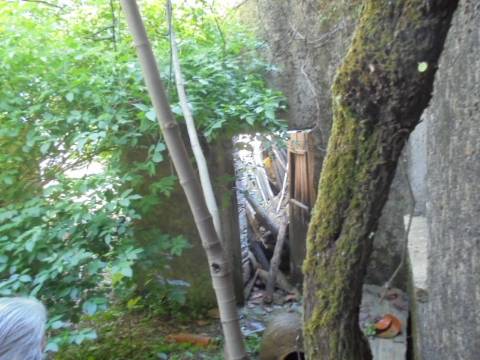 Moradia T1 Venda em Benquerenças,Castelo Branco