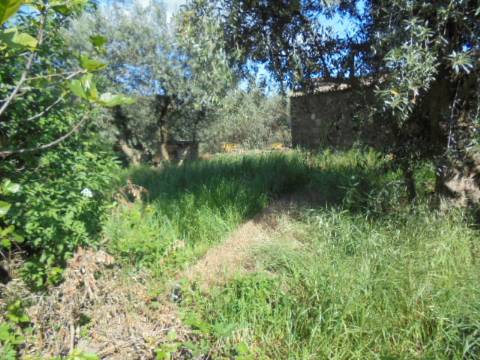 Moradia T1 Venda em Benquerenças,Castelo Branco