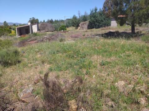 Terreno Rústico  Venda em Salgueiro do Campo,Castelo Branco