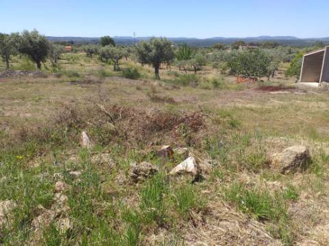 Terreno Rústico  Venda em Salgueiro do Campo,Castelo Branco