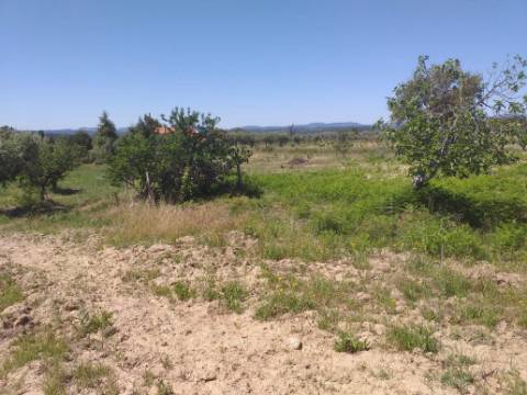 Terreno Rústico  Venda em Salgueiro do Campo,Castelo Branco