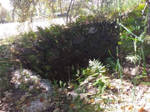 Terreno Rústico  Venda em Salgueiro do Campo,Castelo Branco
