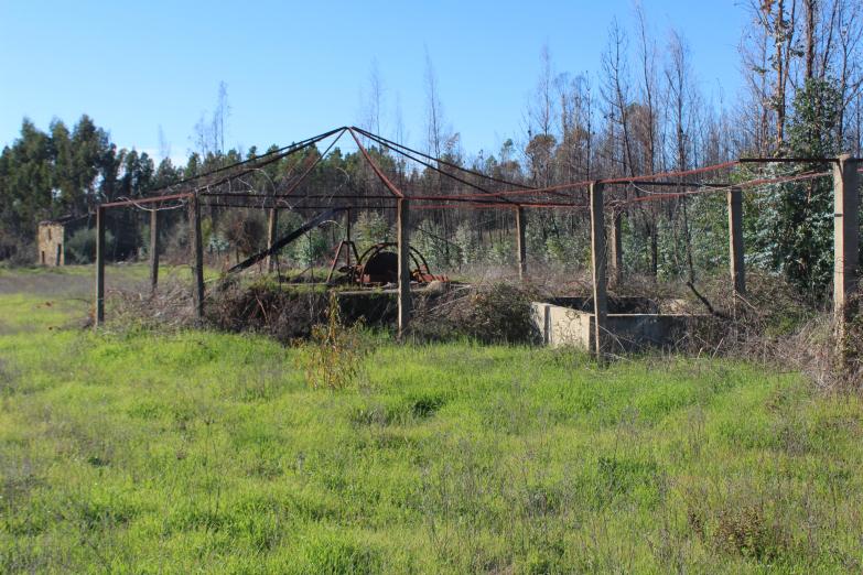 Quinta  Venda em Freixial e Juncal do Campo,Castelo Branco