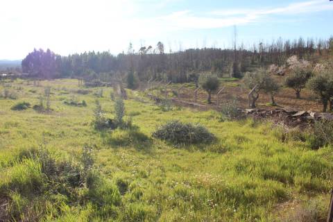 Quinta  Venda em Freixial e Juncal do Campo,Castelo Branco