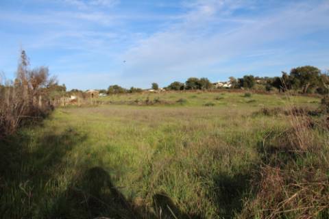 Quinta  Venda em Freixial e Juncal do Campo,Castelo Branco