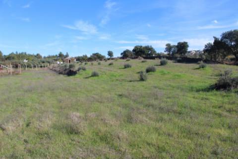 Quinta  Venda em Freixial e Juncal do Campo,Castelo Branco