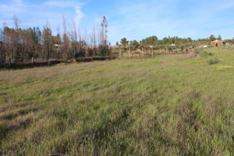 Quinta  Venda em Freixial e Juncal do Campo,Castelo Branco