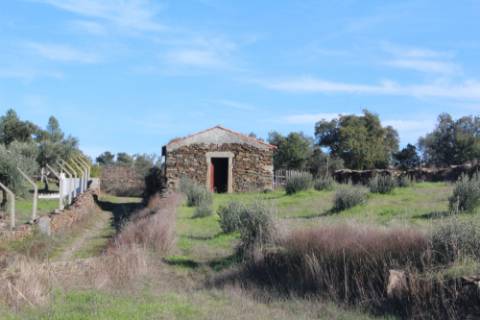 Quinta  Venda em Freixial e Juncal do Campo,Castelo Branco