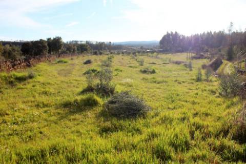 Quinta  Venda em Freixial e Juncal do Campo,Castelo Branco