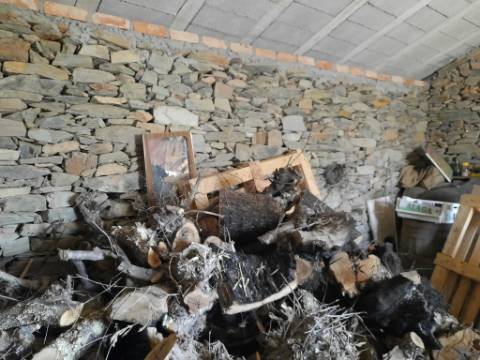 Quinta  Venda em Freixial e Juncal do Campo,Castelo Branco