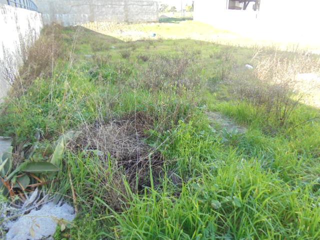 Lote de Terreno  Venda em Castelo Branco,Castelo Branco