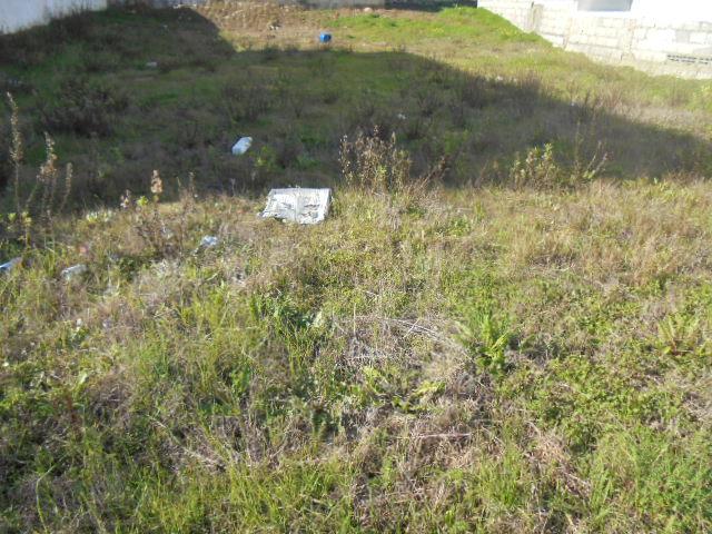 Lote de Terreno  Venda em Castelo Branco,Castelo Branco