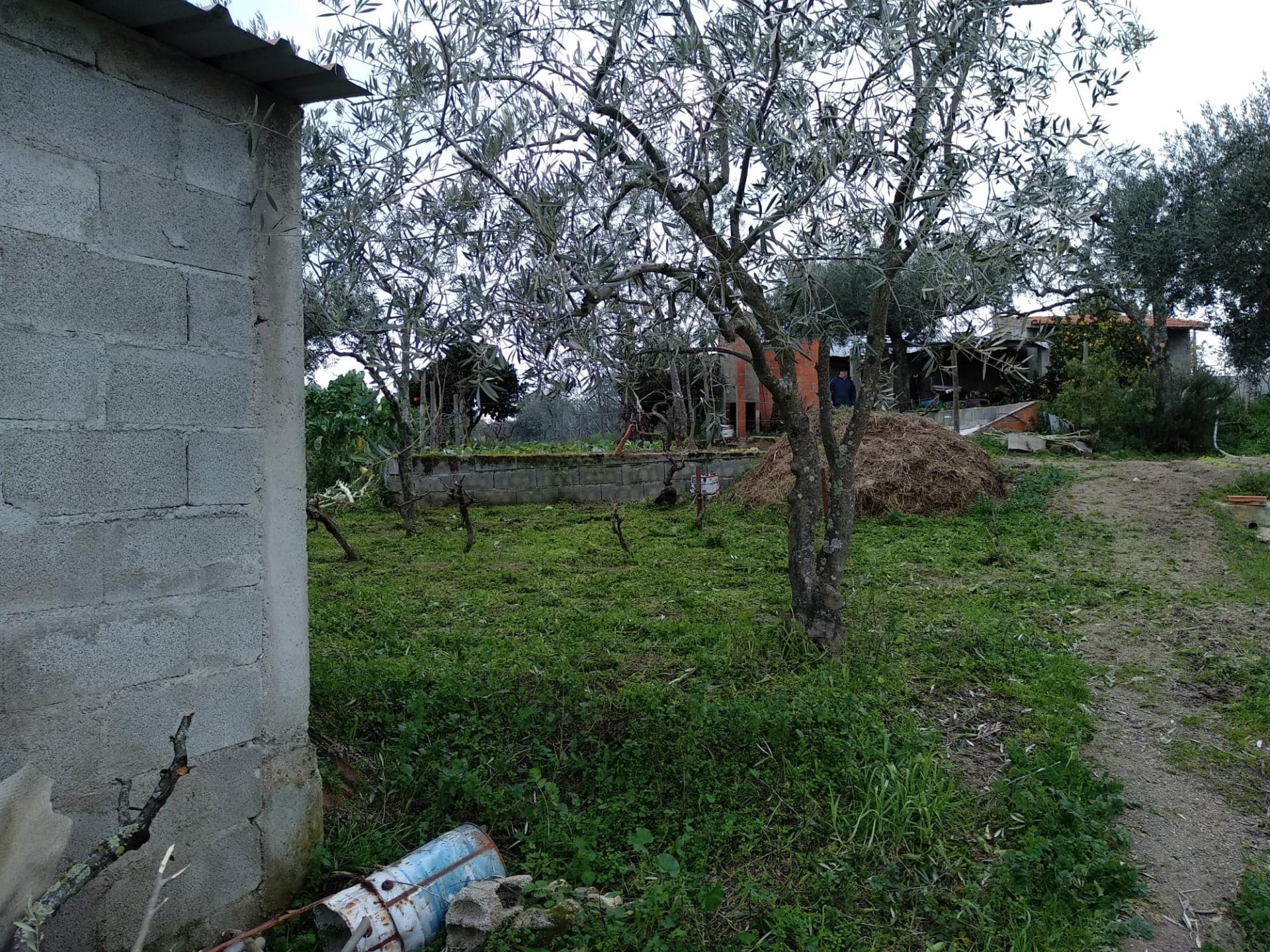 Quintinha  Venda em Lardosa,Castelo Branco