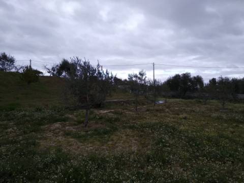 Quintinha  Venda em Lardosa,Castelo Branco