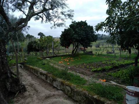 Quintinha  Venda em Lardosa,Castelo Branco