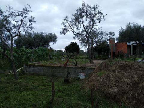 Quintinha  Venda em Lardosa,Castelo Branco