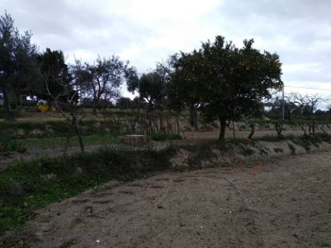 Quintinha  Venda em Lardosa,Castelo Branco