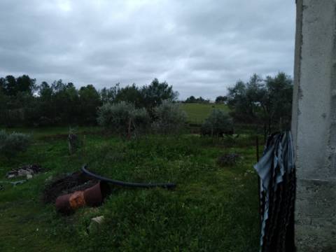 Quintinha  Venda em Lardosa,Castelo Branco