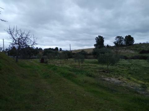 Quintinha  Venda em Lardosa,Castelo Branco