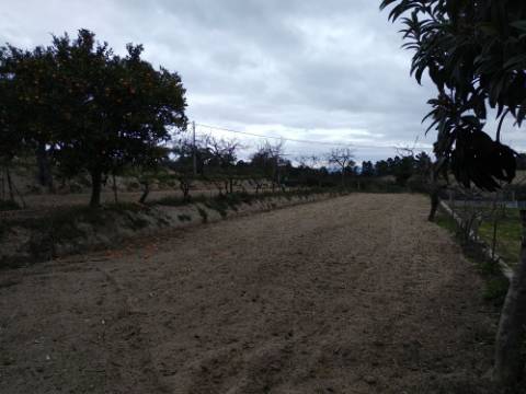 Quintinha  Venda em Lardosa,Castelo Branco
