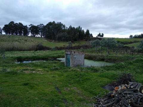 Quintinha  Venda em Lardosa,Castelo Branco