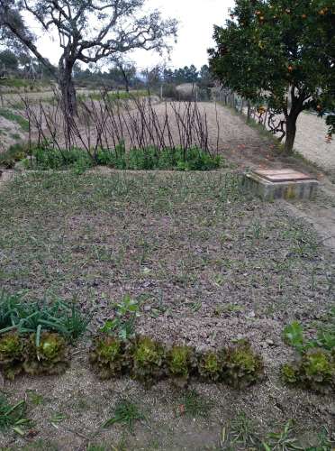 Quintinha  Venda em Lardosa,Castelo Branco