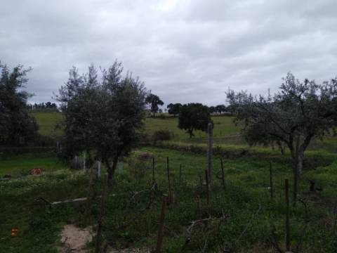 Quintinha  Venda em Lardosa,Castelo Branco