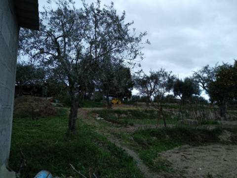 Quintinha  Venda em Lardosa,Castelo Branco