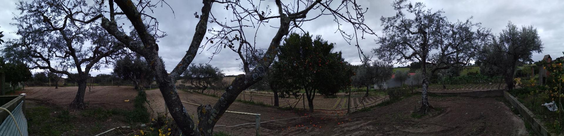 Quintinha  Venda em Lardosa,Castelo Branco