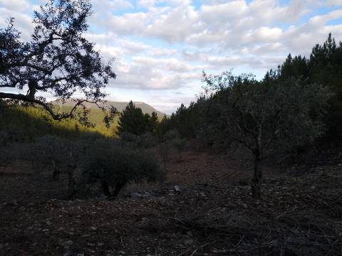 Terreno Rústico  Venda em Estreito-Vilar Barroco,Oleiros