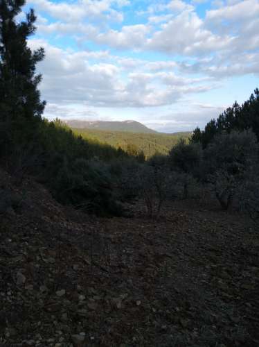 Terreno Rústico  Venda em Estreito-Vilar Barroco,Oleiros