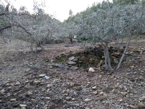 Terreno Rústico  Venda em Estreito-Vilar Barroco,Oleiros