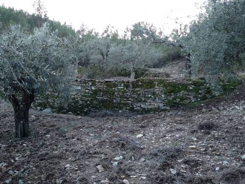 Terreno Rústico  Venda em Estreito-Vilar Barroco,Oleiros