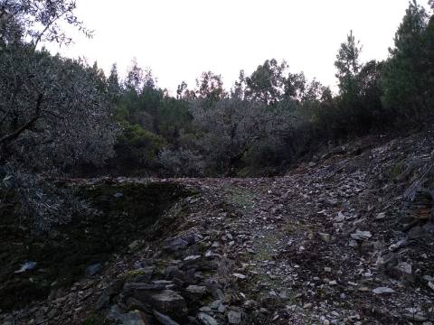 Terreno Rústico  Venda em Estreito-Vilar Barroco,Oleiros
