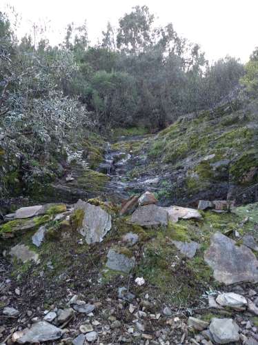 Terreno Rústico  Venda em Estreito-Vilar Barroco,Oleiros