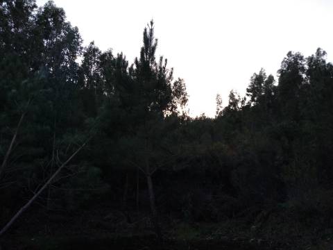 Terreno Rústico  Venda em Estreito-Vilar Barroco,Oleiros