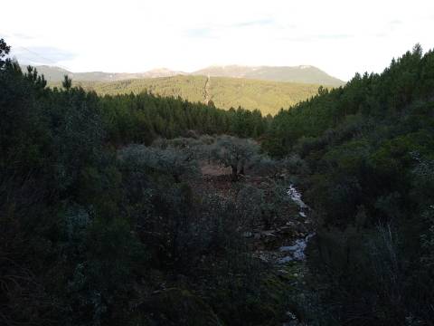 Terreno Rústico  Venda em Estreito-Vilar Barroco,Oleiros