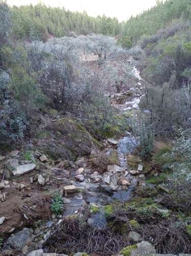 Terreno Rústico  Venda em Estreito-Vilar Barroco,Oleiros