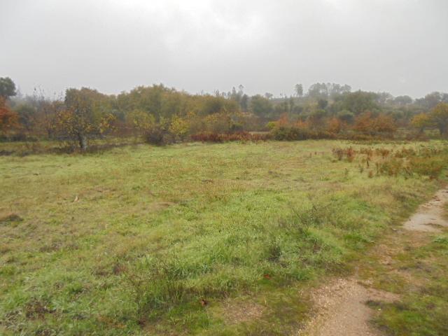 Herdade  Venda em Alpedrinha,Fundão