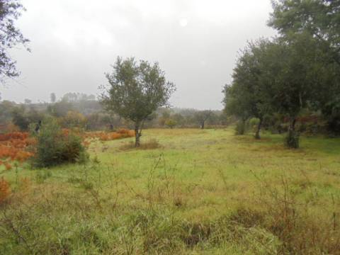 Herdade  Venda em Alpedrinha,Fundão