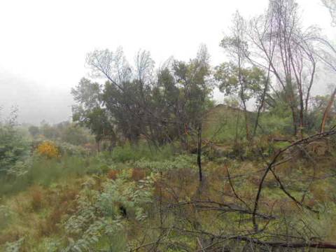Herdade  Venda em Alpedrinha,Fundão