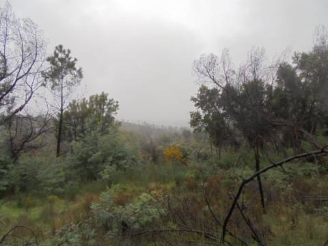 Herdade  Venda em Alpedrinha,Fundão