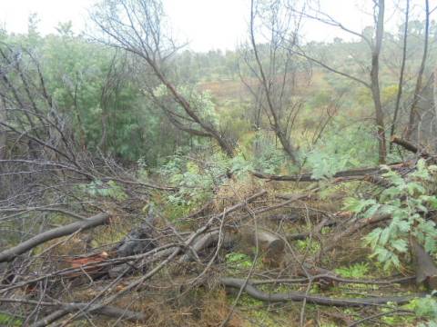 Herdade  Venda em Alpedrinha,Fundão
